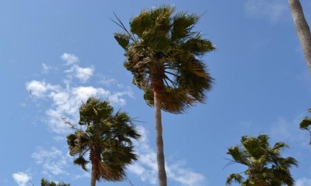 Meteorología activa la alerta amarilla en Marbella por vientos fuertes