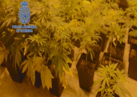 Tres detenidos en Marbella en una operación contra el tráfico de drogas