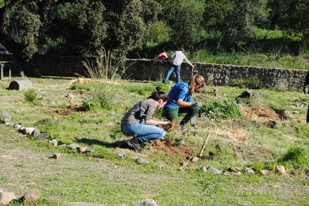 El Curso de Diseño en Permacultura de Arobretum será CO2 neutral