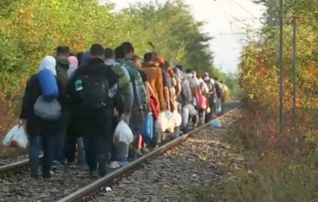 Las familias de Marbella pueden solicitar ya acoger a refugiados