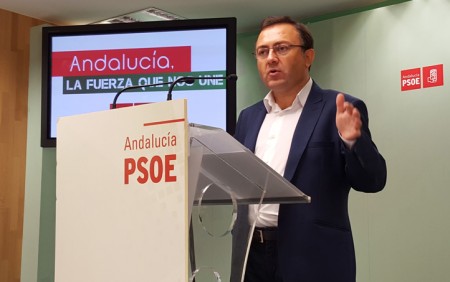 El PSOE pide planes de empleo para Marbella con las multas del Malaya