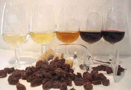 Marbella producirá vinos con la denominación de origen de Málaga