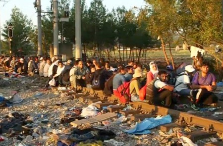 Más de 50 personas se ofrecen en Marbella para ayudar a refugiados