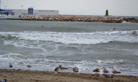 Meteorología anuncia tres días de alerta por lluvias en la Costa del Sol