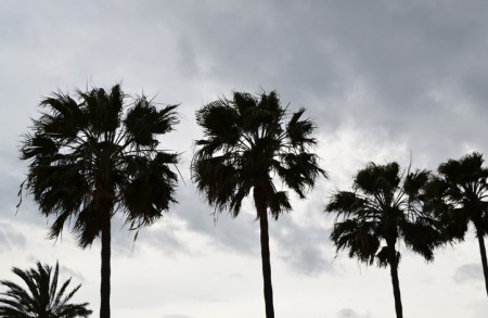 Las lluvias se alejan de Marbella pero solo hasta el fin de semana