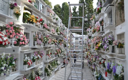 Una funeraria repartirá flores en el día de Todos los Santos en Marbella