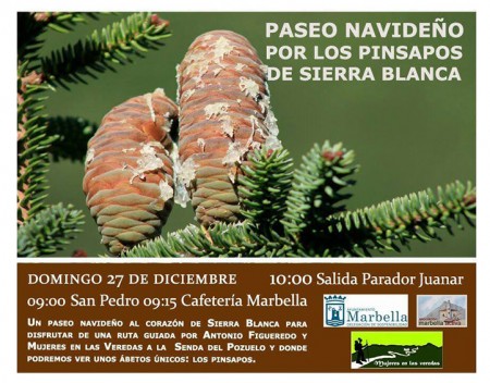 Sostenibilidad propone un 