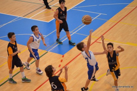 Triunfos del preinfantil y júnior A masculinos del CB Marbella