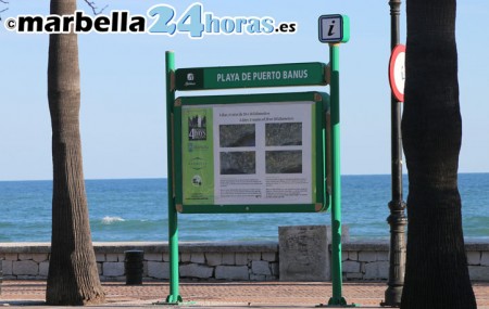 Hallan de madrugada el cadáver de un hombre en un playa de Marbella