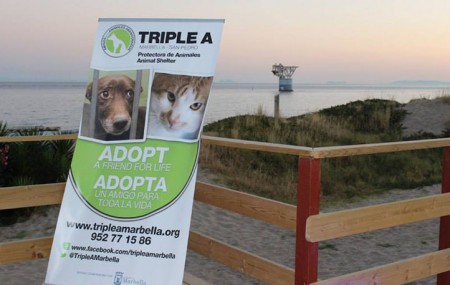 El Ayuntamiento vigilará que se atienda a los animales de la Triple A