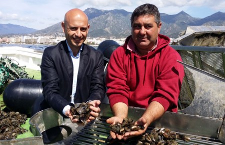 Una empresa impulsa desde Marbella el cultivo experimental del mejillón