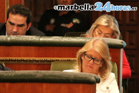 Ángeles Muñoz aprovecha el pleno para iniciar su campaña electoral