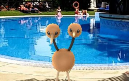 Cinco jóvenes invaden un hotel de lujo en Marbella para cazar Pokemon