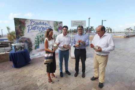 Marbella y Córdoba se unen para promocionar los tradicionales patios de la ciudad califa