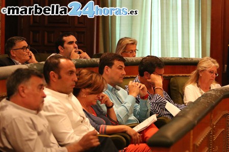 La comisión del deslinde de Benahavís estará formada por vecinos y expertos