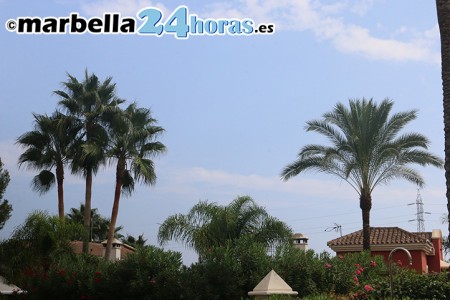 El concejal de Parques y Jardines lamenta que el PP "siga tratando de dañar la imagen de Marbella"