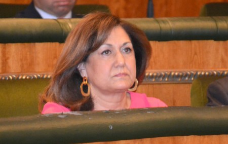 El PSOE pide la dimisión de Carmen Díaz por construir sin licencia
