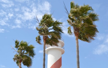 Marbella registra la racha de viento más fuerte en la provincia: 70 km/h