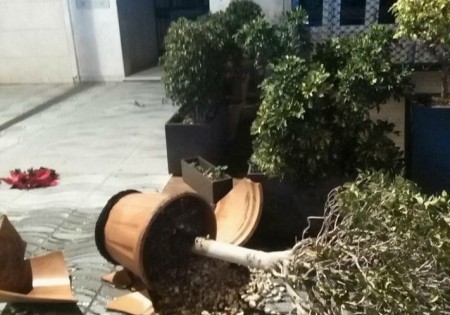 La Policía Local detiene a un hombre por destrozos en el mobiliario de San Pedro