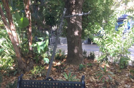 Dos meses sin la "niña del columpio" en la Alameda de Marbella