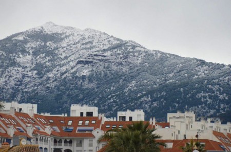 Ayuntamiento y Cruz Roja coordinan la atención a los sin techo en Marbella