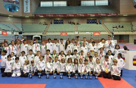 Dieciséis deportistas del Olympic Karate participan en la concentración andaluza