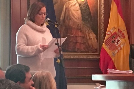 El pleno aprueba el soterramiento de líneas de alta tensión junto a colegios