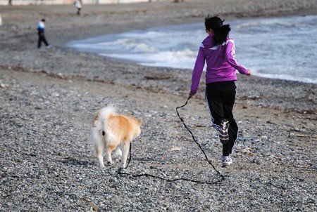Marbella acoge este domingo la carrera con mascotas en El Cable