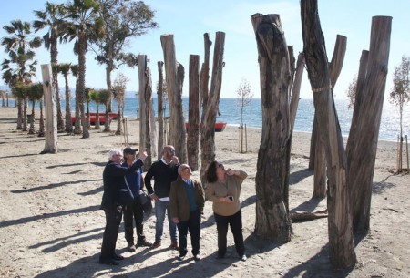 Comienzan a tallarse los tocones de los eucaliptos secos en San Pedro