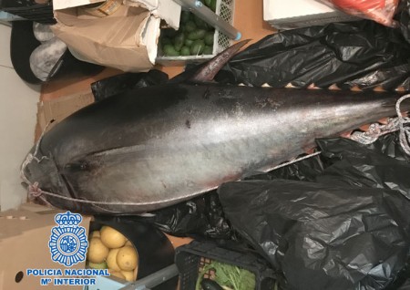 Alertan a la Policía del traslado de un cadáver en Marbella pero era un atún