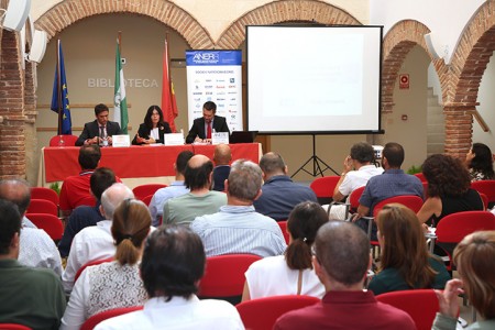 Marbella apuesta por construcciones de mayor calidad y sostenibles
