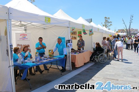 Abierto el plazo para solicitar las subvenciones de Derechos Sociales