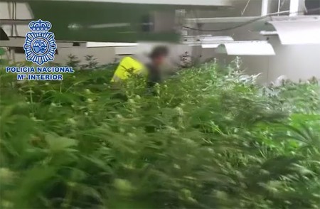 Un detenido en Marbella en una macroperación contra el narcotráfico