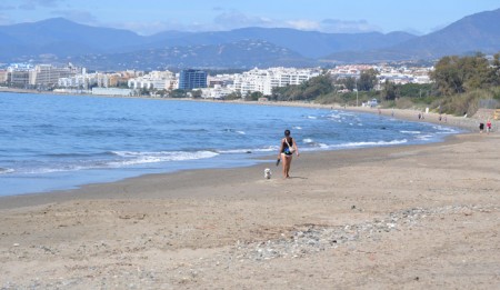 El Ayuntamiento plantea un Consejo Sectorial de Playas y nueva ordenanza