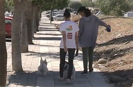 El Ayuntamiento habla de siete perros envenenados y los vecinos de catorce