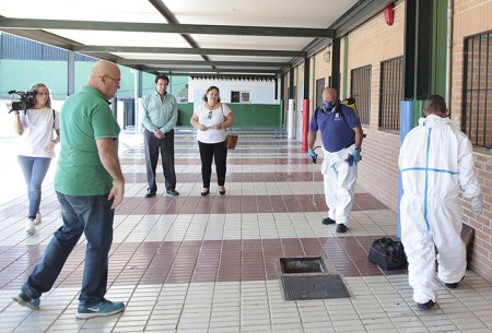 El Ayuntamiento inicia la desinsectación de los centros escolares de Marbella