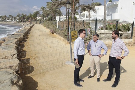 Marbella destina 350.000 euros a reponer albero en el paseo marítimo
