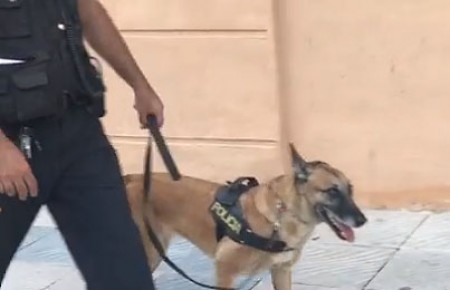 La Unidad Canina de la Policía Local levanta 80 actas en la feria sampedreña