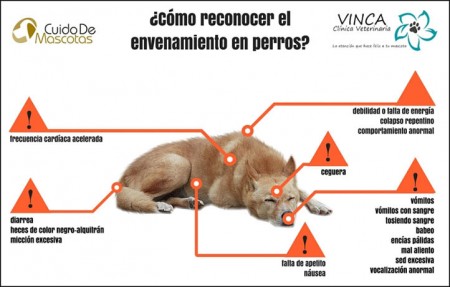 Vecinos convocan una concentración por la muerte de perros envenenados