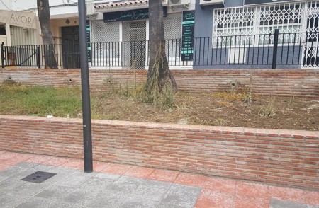 El PSOE pide mejoras en las jardineras de la avenida Andalucía de San Pedro