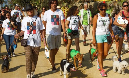 El mundo del perro será protagonista en Marbella con la feria Gipsy Cannis