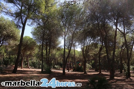Jornada de limpieza en el Pinar de Nagüeles dentro del proyecto Libera