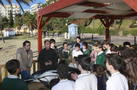 Un millar de escolares aprenden sobre la flora y fauna marina de Marbella