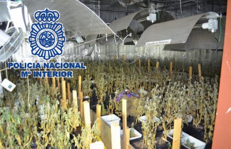 Desmantelan un laboratorio de marihuana en un chalé de Marbella