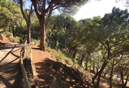 El Ayuntamiento de Marbella también privatiza el servicio de desbroce