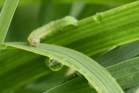 Hidralia convoca un concurso de fotografía por el Día Mundial del Agua