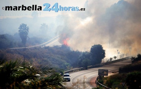 Marbella acogerá unas jornadas sobre prevención de incendios forestales