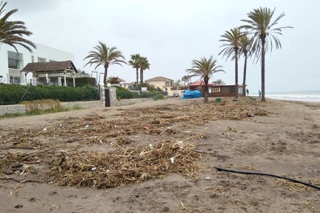 IU exige a Costas y al Ayuntamiento el arreglo de las playas para Semana Santa