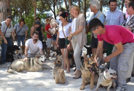 La alcaldesa muestra su respeto por los animales, pero no retira el pliego
