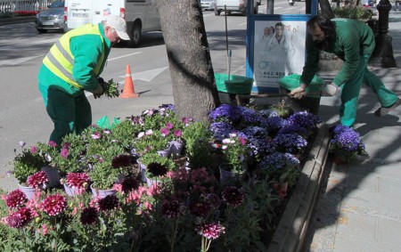 El Ayuntamiento gasta 50.000 euros para volver a llenar Marbella de flores
